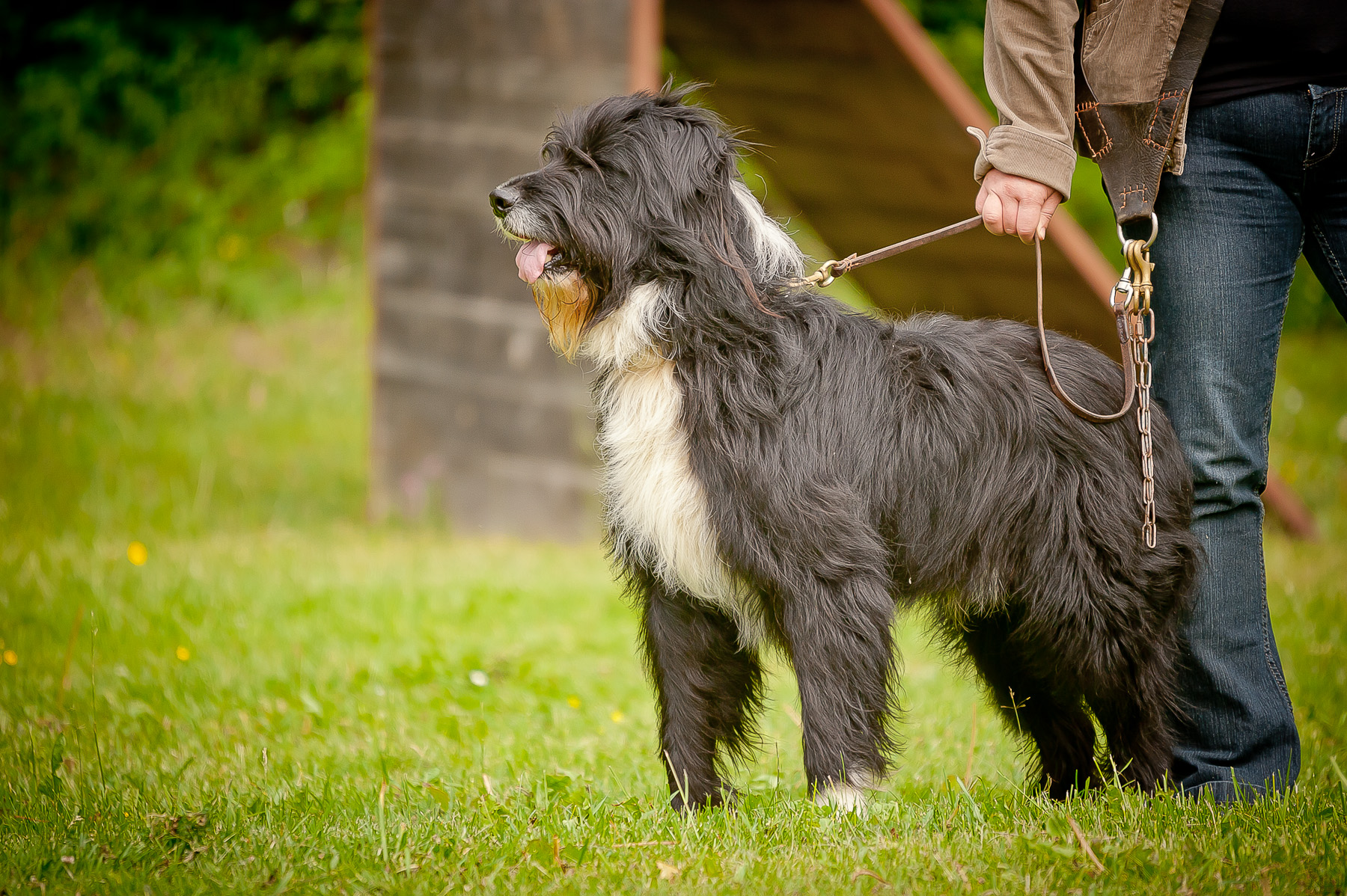 Die Tierarztpraxis Grath bietet auch eine Hundeschule an in der z.B. auch Einzeltrainings möglich sind Die Tierarztpraxis Grath bietet auch eine Hundeschule an in der z.B. auch Einzeltrainings möglich sind