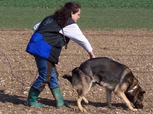Die Tierarztpraxis Grath bietet auch eine Hundeschule an bei der Sie Ihren Hund ins Hundeinternat schicken können Die Tierarztpraxis Grath bietet auch eine Hundeschule an bei der Sie Ihren Hund ins Hundeinternat schicken können